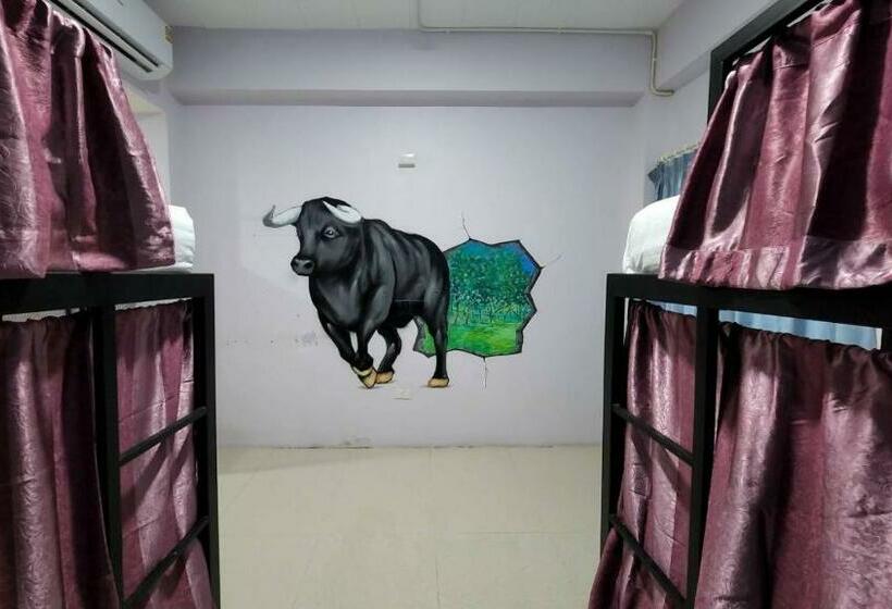 Кровать в Общей Комнате, Save Hostel