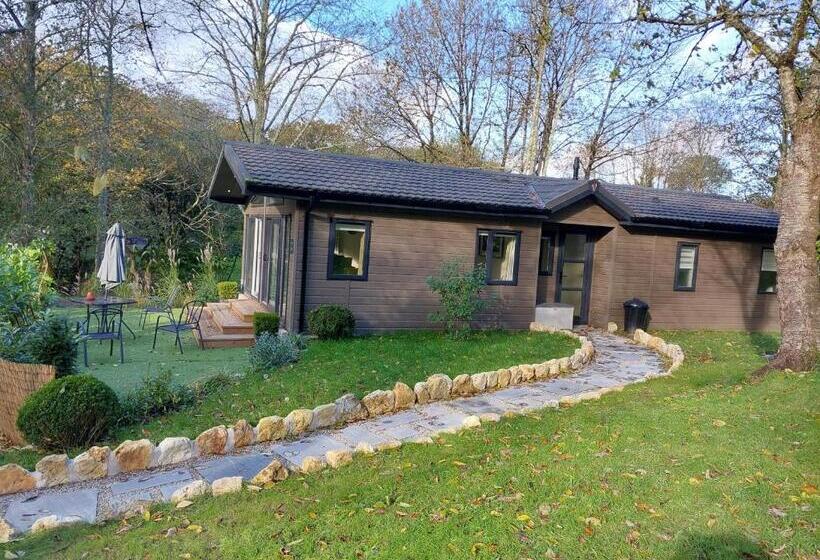 1ベッドルームアパートメント, Chycara