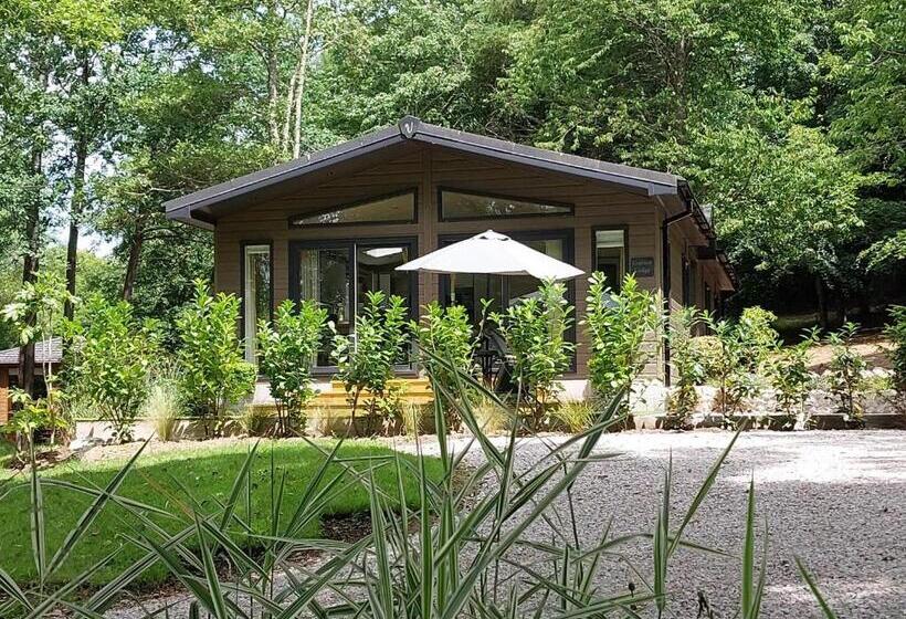 1ベッドルームアパートメント, Chycara