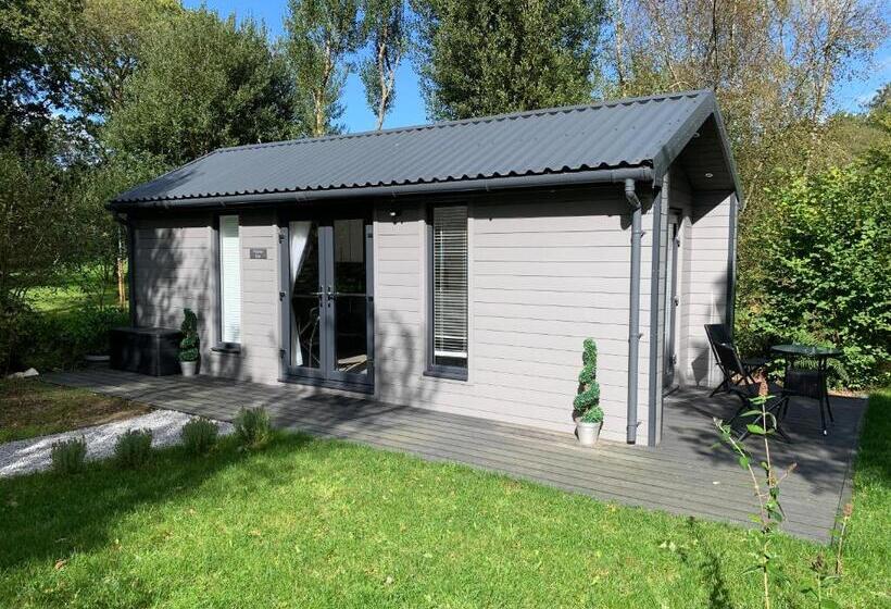 1ベッドルームアパートメント, Chycara