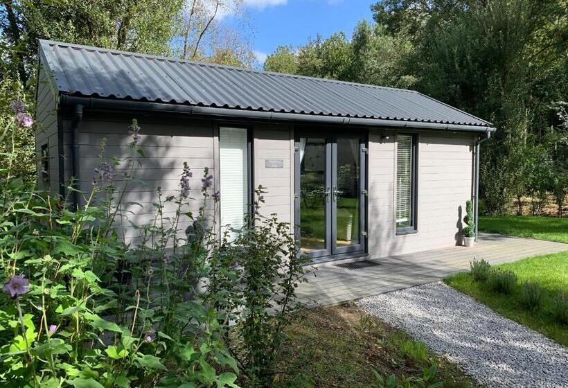 1ベッドルームアパートメント, Chycara