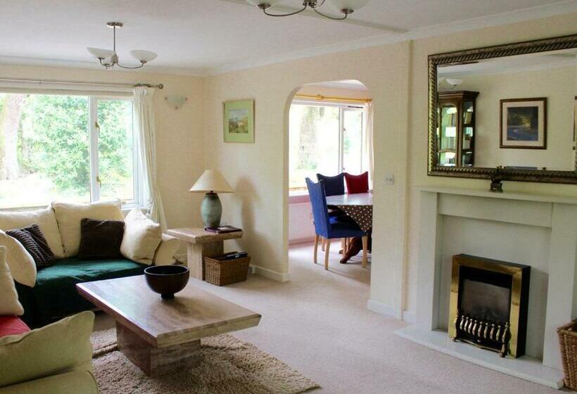 3ベッドルームアパートメント, Chycara