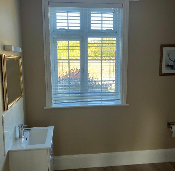 غرفة ديلوكس سرير كينج, Horton Inn