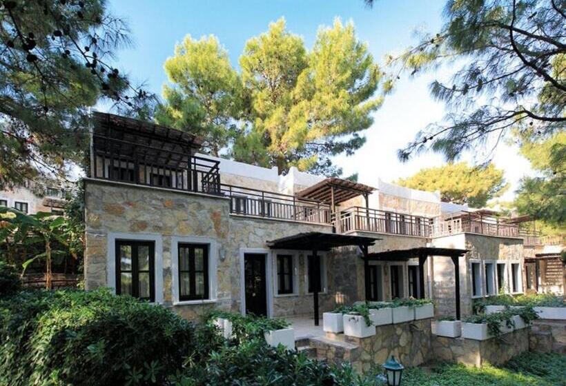חדר משפחתי, Bodrum Park Resort