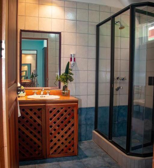 غرفة سوبيريور, Vista Ballena