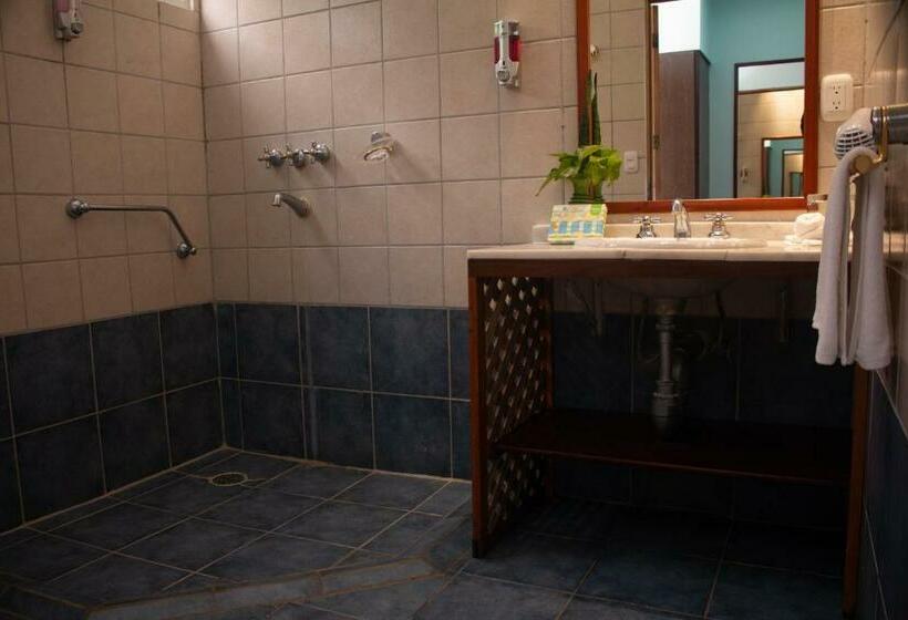 غرفة قياسية, Vista Ballena