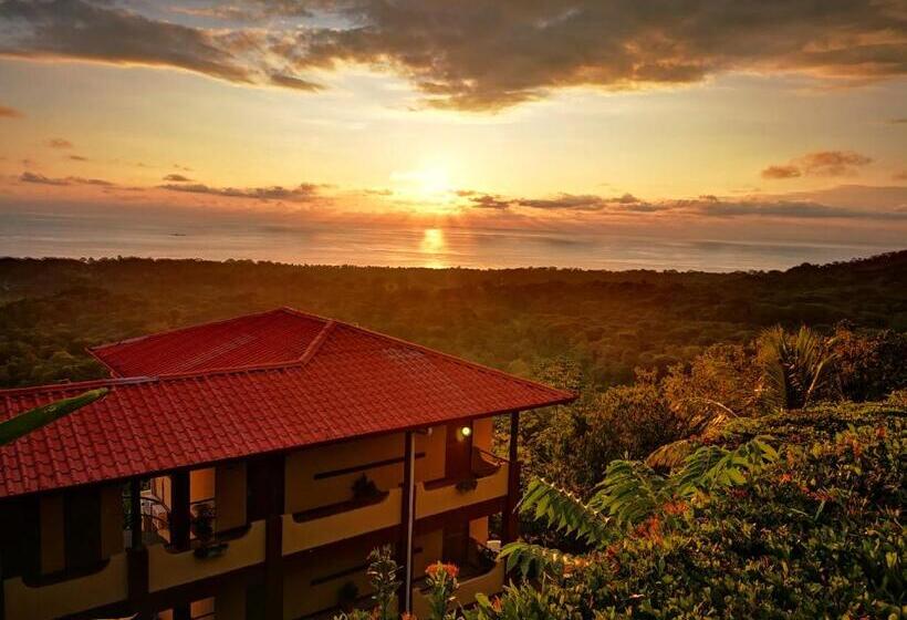 غرفة ديلوكس, Vista Ballena