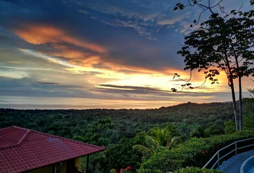 غرفة ديلوكس, Vista Ballena