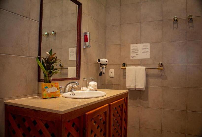 غرفة ديلوكس, Vista Ballena