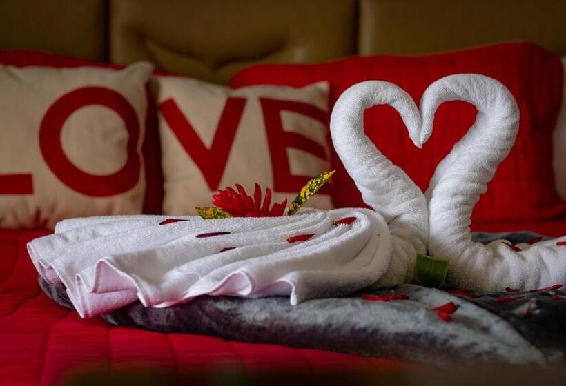 غرفة ديلوكس, Vista Ballena