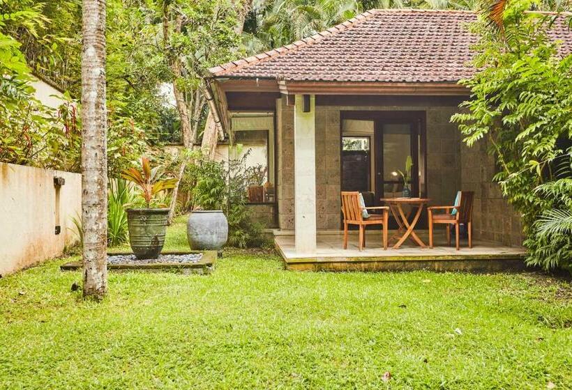 סוויטה, The Farm At San Benito