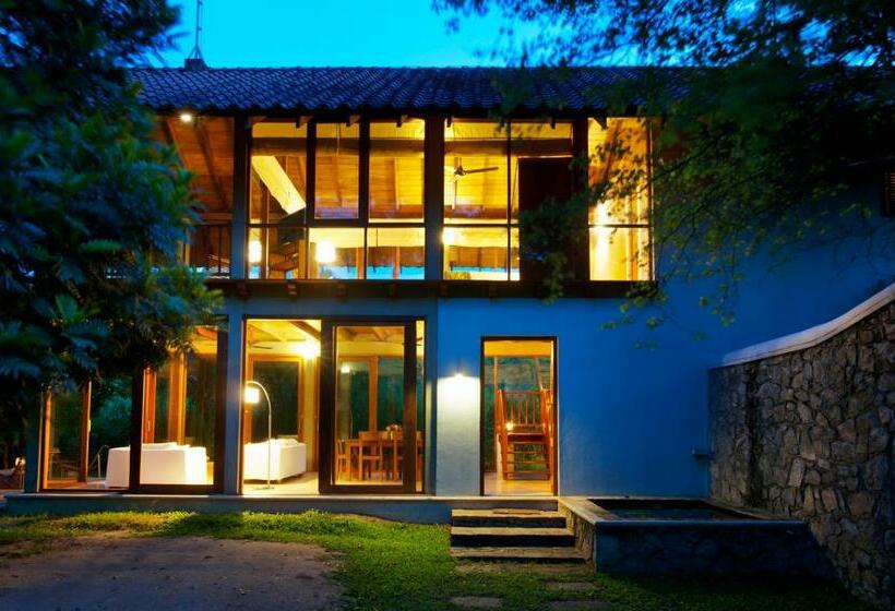 Люкс Повышенной Комфортности, Wild Grass Nature Resort