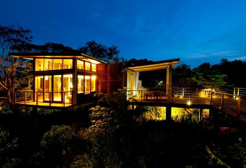 Люкс Повышенной Комфортности, Wild Grass Nature Resort