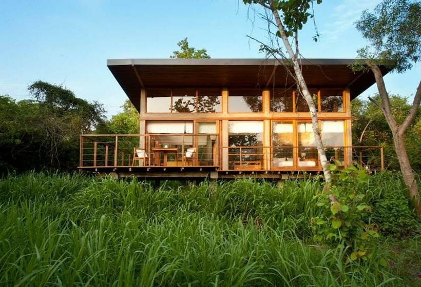 Люкс Повышенной Комфортности, Wild Grass Nature Resort