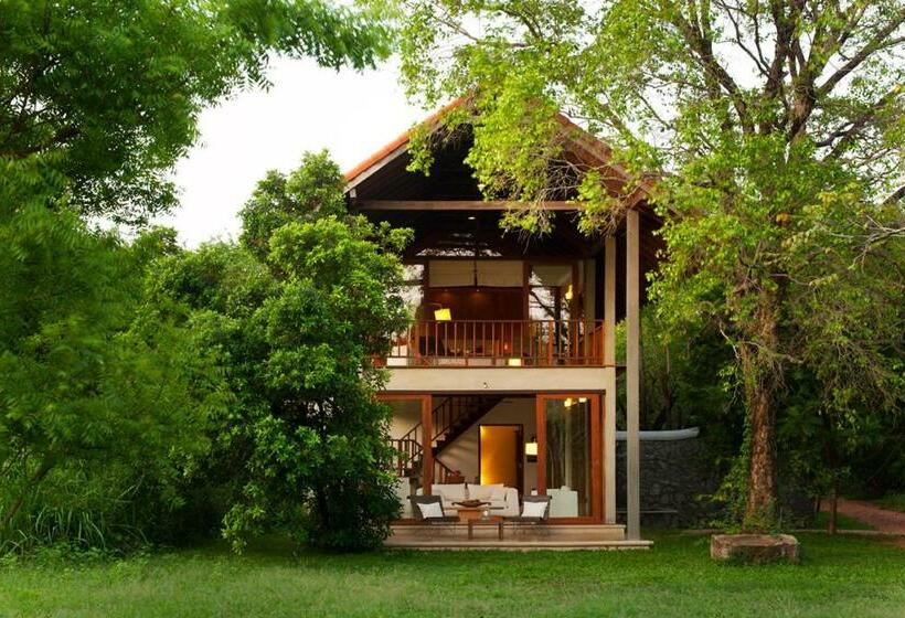 Люкс Повышенной Комфортности, Wild Grass Nature Resort