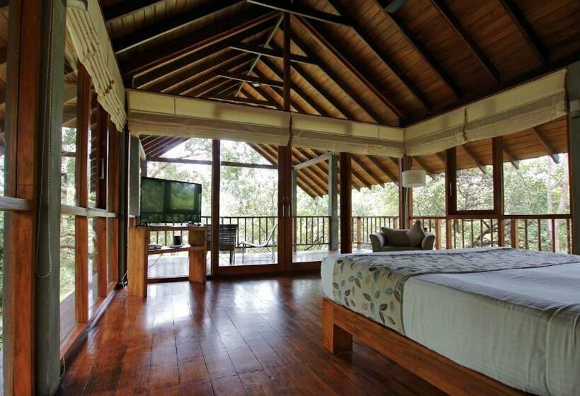 Люкс Повышенной Комфортности, Wild Grass Nature Resort