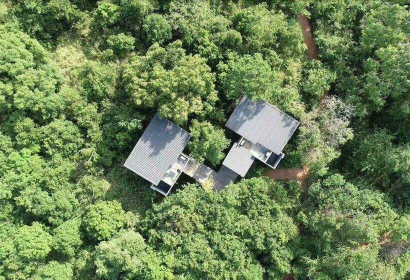 Люкс Повышенной Комфортности, Wild Grass Nature Resort