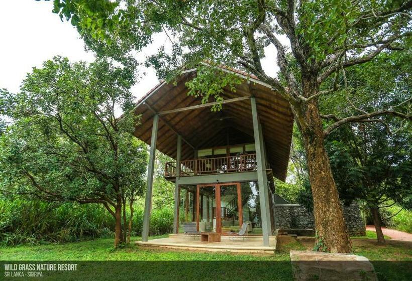 Люкс Повышенной Комфортности, Wild Grass Nature Resort