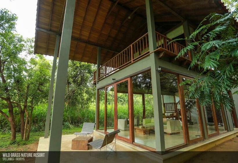 Люкс Повышенной Комфортности, Wild Grass Nature Resort