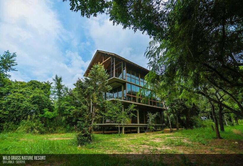 Люкс Премиум, Wild Grass Nature Resort