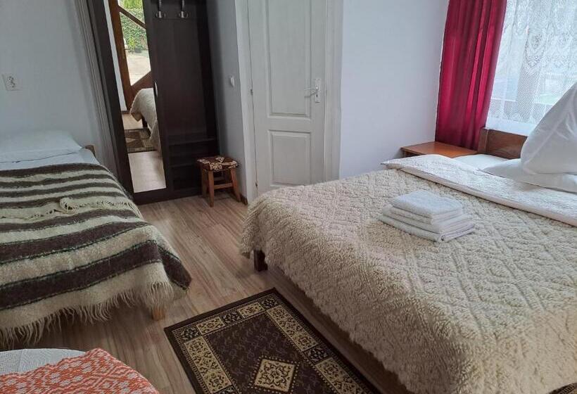 غرفة قياسية, Pensiunea Rednic Lenuta