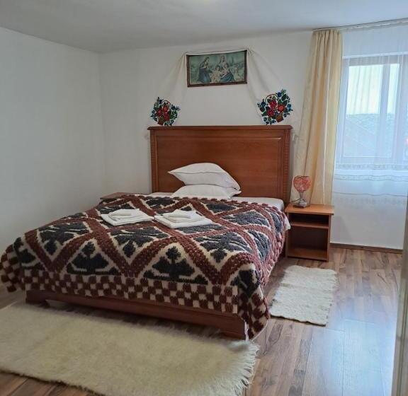 غرفة قياسية, Pensiunea Rednic Lenuta