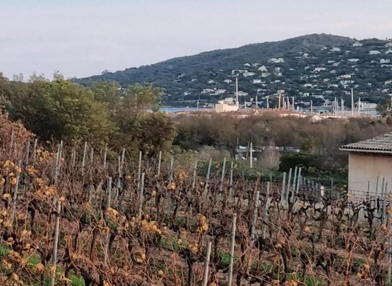 Номер Стандарт Вид на Сад, Logement équipé