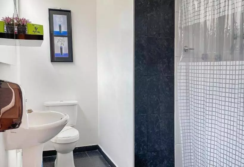 Deluxe-huone, Suite Center Pereira