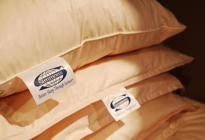 מיטה בחדר משותף, Anshin Oyado Shinbashi Ekimaeten