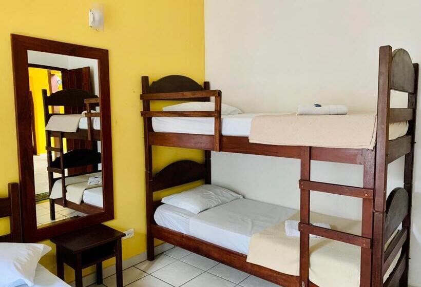 Chambre Quadruple Standard, Brazish Pousada