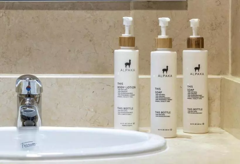スタンダードルーム, Río Serrano Hotel + Spa
