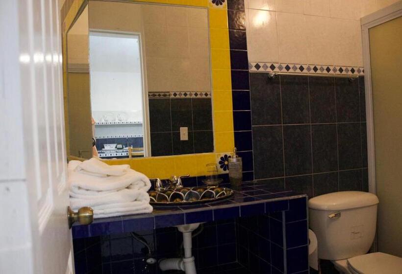 استودیوی استاندارد, Boutique Hotel & Suites Hacienda Lord Twigg