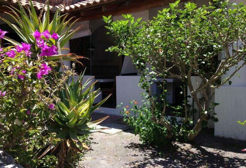 高级工作室, Jerà Holiday Collection Vulcano