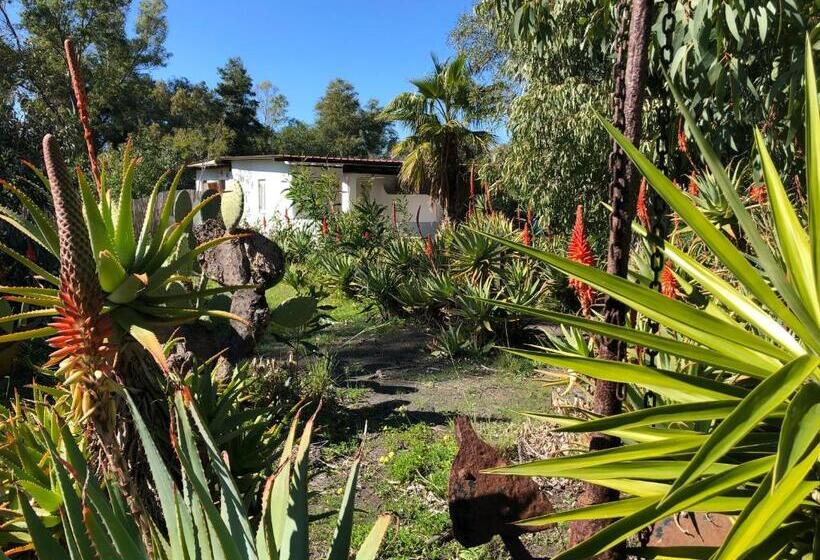 标准间内部标间, Jerà Holiday Collection Vulcano