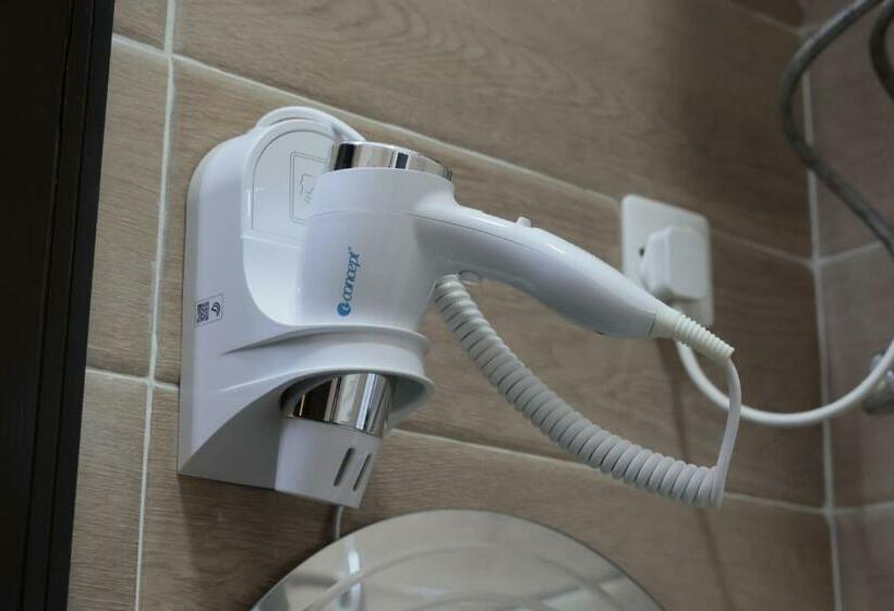 带大床的标准间, فندق روز الجنوب