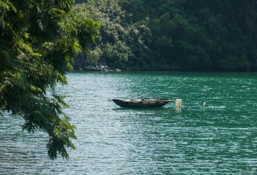 اتاق لوکس با چشم‌انداز دریا, Cat Ba Cruise