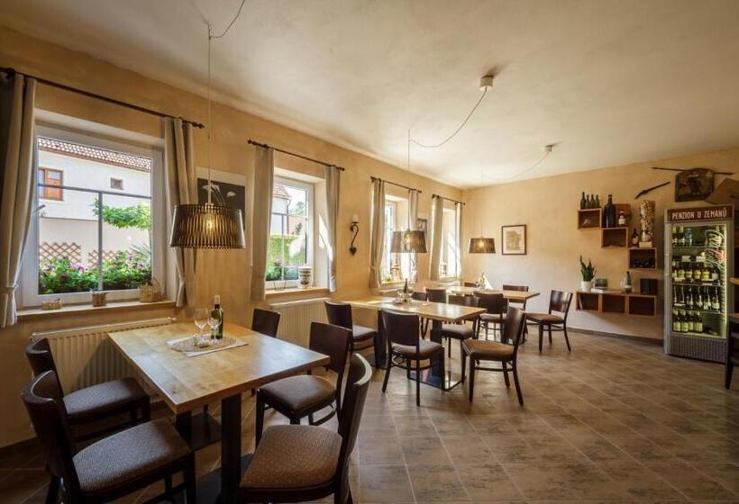 デラックスルーム, Penzion U Zemanů Nové Hrady