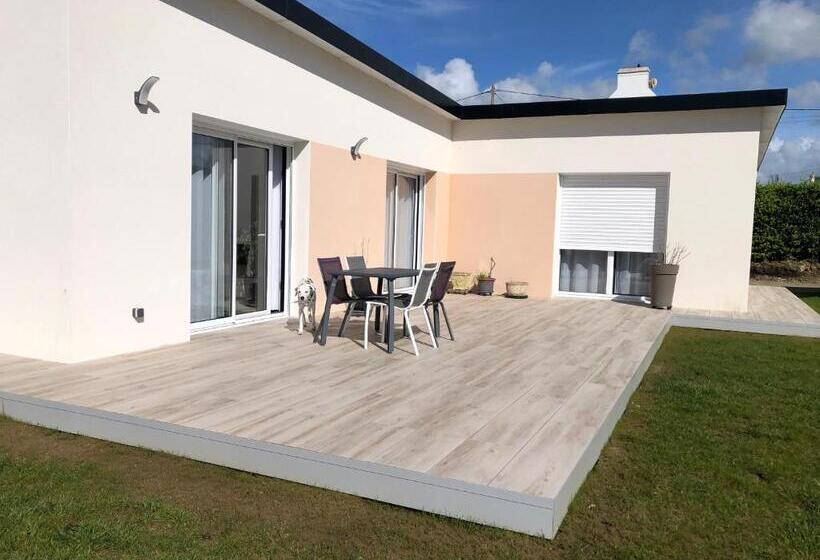 スタンダードルーム, Chez Yolande