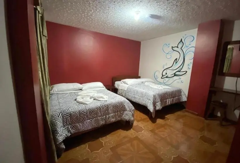Classic Neljän Hengen Huone, Hostal Mollitiam