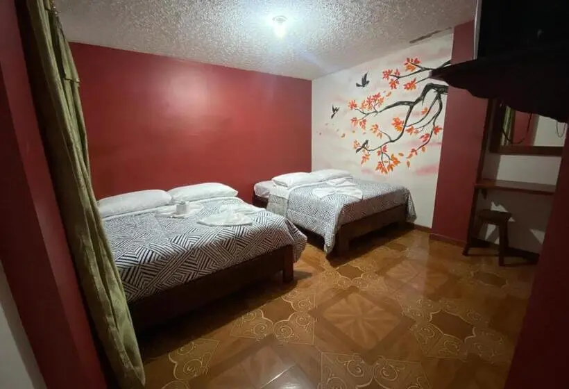 Classic Neljän Hengen Huone, Hostal Mollitiam
