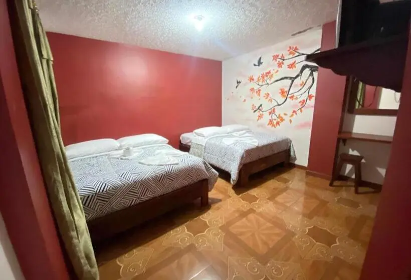 Classic Neljän Hengen Huone, Hostal Mollitiam