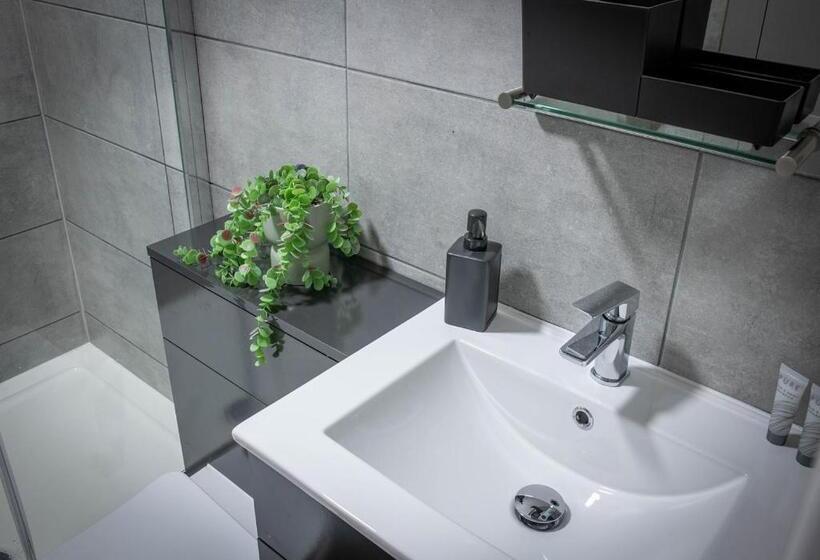 Standaard Studio, Dream Apartments Harrington Street Liverpool