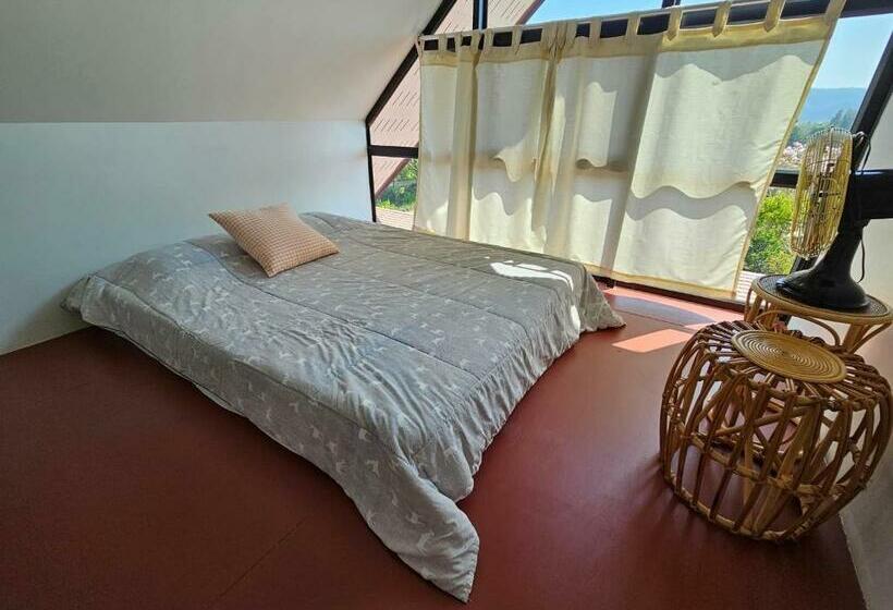 家庭套房, ไร่ปาริชาติ