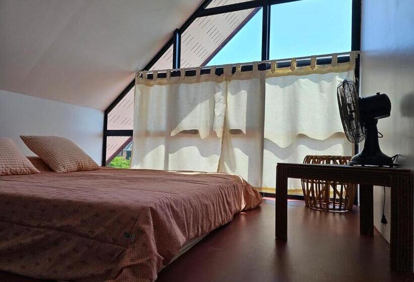 Családi Suite, ไร่ปาริชาติ