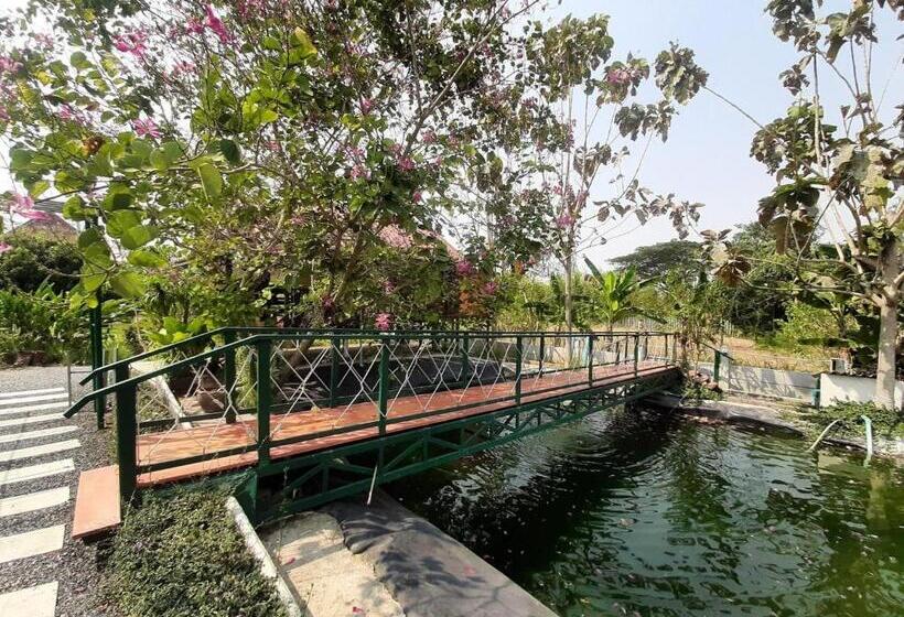 Családi Szoba, ไร่ปาริชาติ