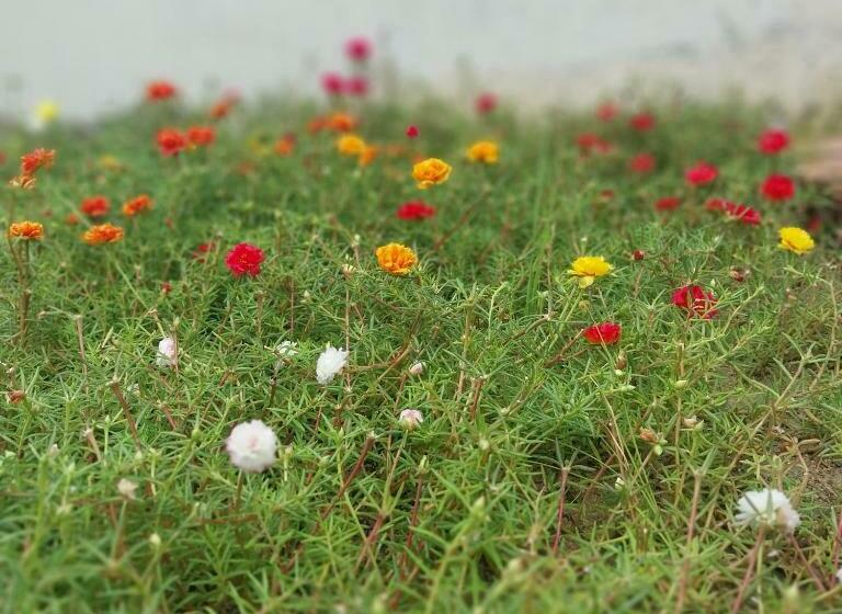 اتاق استاندارد چهار تخته, Khách Sạn An Thịnh 2