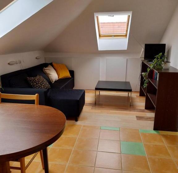 带1个卧室的公寓, Squash Apartments & Studios