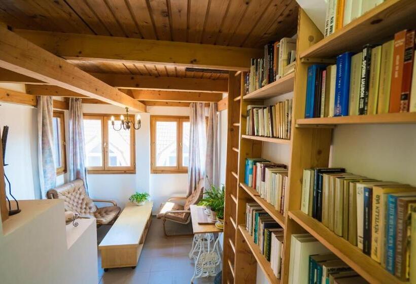 带1个卧室的公寓, Squash Apartments & Studios