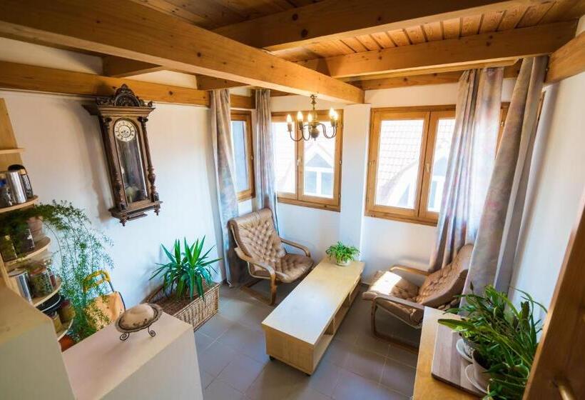 Апартаменты 1 Спальня, Squash Apartments & Studios