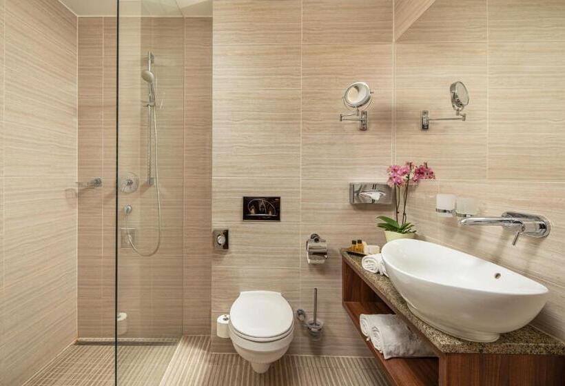 غرفة سوبيريور, Grand Hotel Glorius Makó